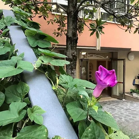 President Hotel